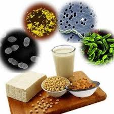Role of Microorganisms in Food and Beverage Preparation