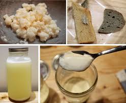 Exploring the Process of Fermented Foods