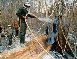 Renewable Natural Resources and Their Environmental Impact