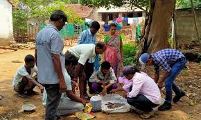 Seed Treatment and Testing Guide