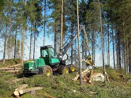 Understanding Logging and Timber Transportation