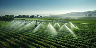 Environmental and Health Implications of Irrigation Farming