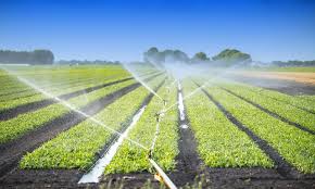 The Irrigation System of Farming: It’s Importance and Effects