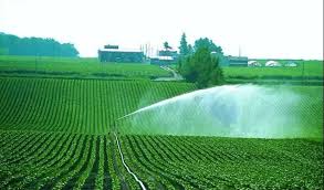 The Irrigation System of Farming: It’s Importance and Effects