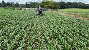 Factors Determining Types of Irrigation Farming and Source of Irrigation Farming