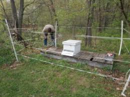 Wildlife Damage Management