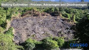 Shifting Cultivation: Features, Advantages and Disadvantages