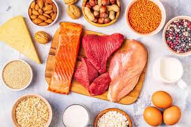Classification, Functions, and Formation Plants and Animals Carbohydrates and Proteins