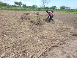 Soil Preparation and Composting Guide