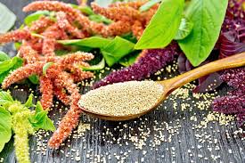 Growing Amaranth: A Comprehensive Guide