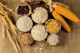 Classification of Feeding Stuff and Feed Supplements: Cereals