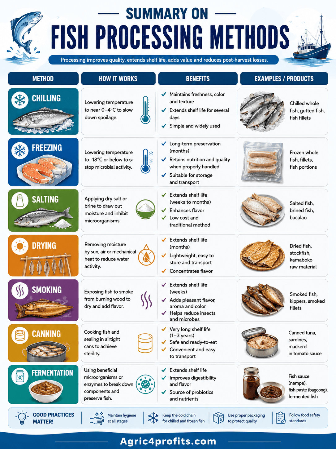 How To Process Fish The Different Proper Fish Processing Methods - Agric4Profits