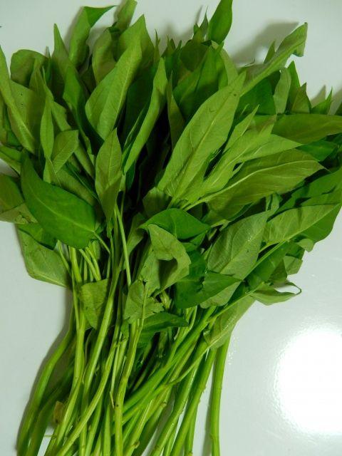 10 Avantages Uniques pour la Santé de l'Oha feuilles (Pterocarpus mildraedii)