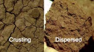 Soil Factors Affecting Crop Production