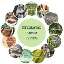 Integrated Livestock Production System