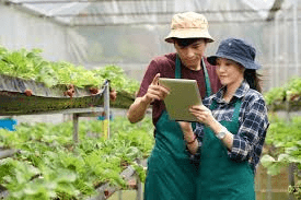 Concepts of Agribusiness Management and Its Elements