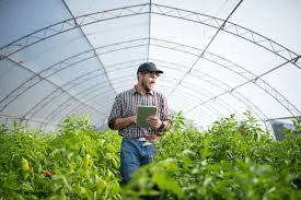 Scope and Nature of Successful Agribusiness