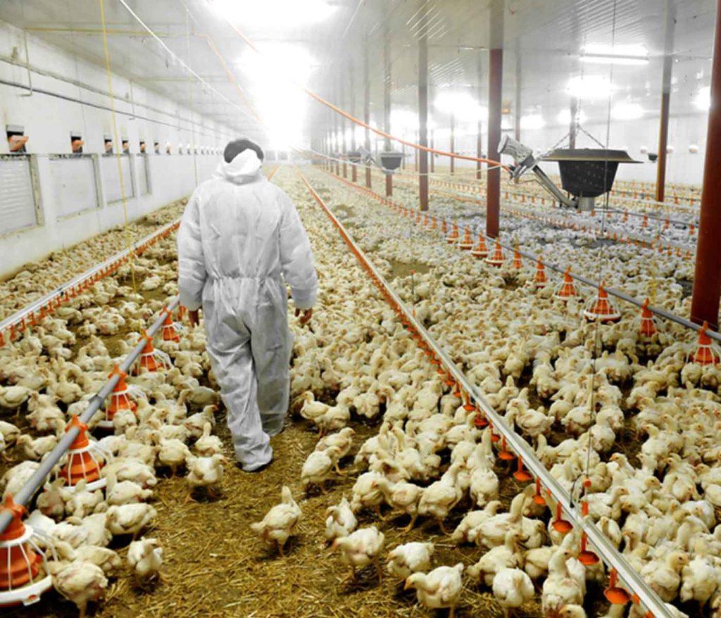 What Every Farmer Must Know