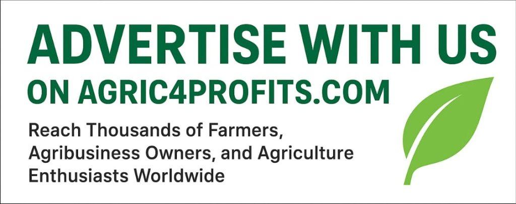 Advertise or Write for Us