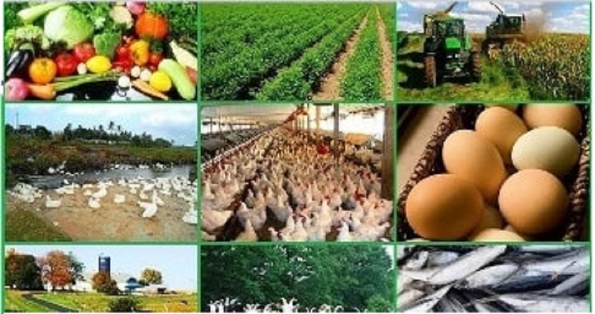 10 Most Profitable Farming Businesses You Can Start Today!