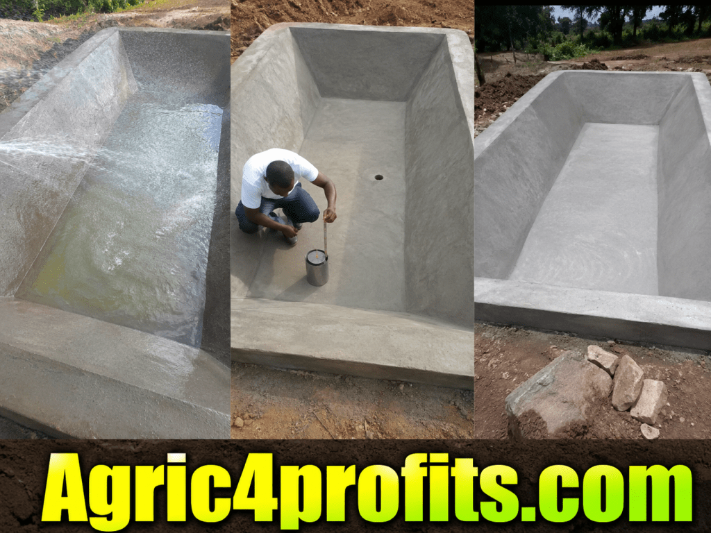 Number of Blocks Required to Rise above Ground Level in Constructing a Concrete Pond