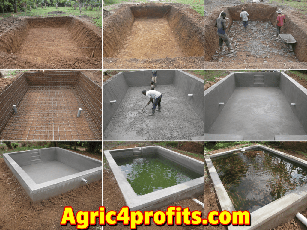 Number of Blocks Required to Rise above Ground Level in Constructing a Concrete Pond