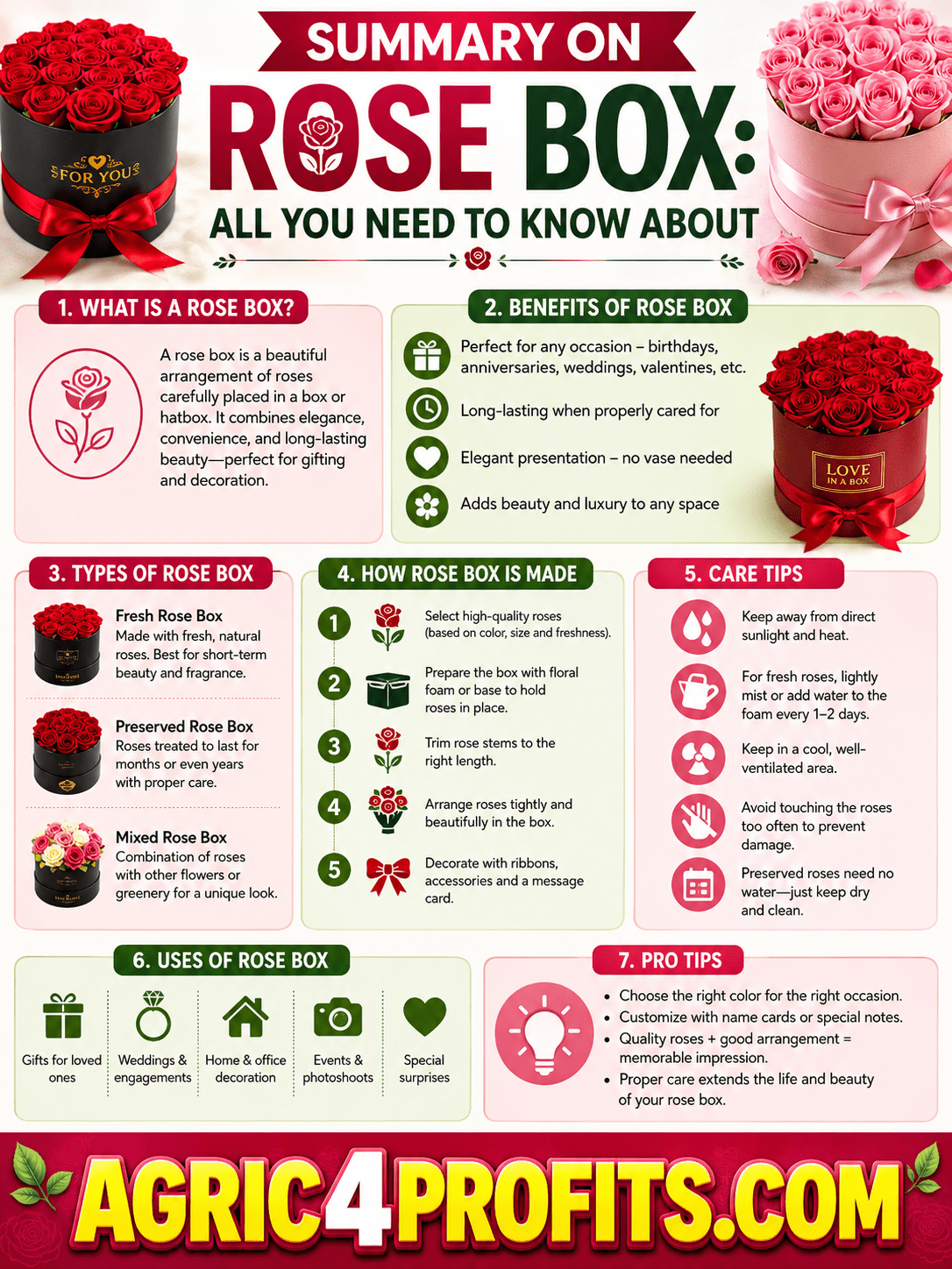 Rose Box: All You Need To Know About