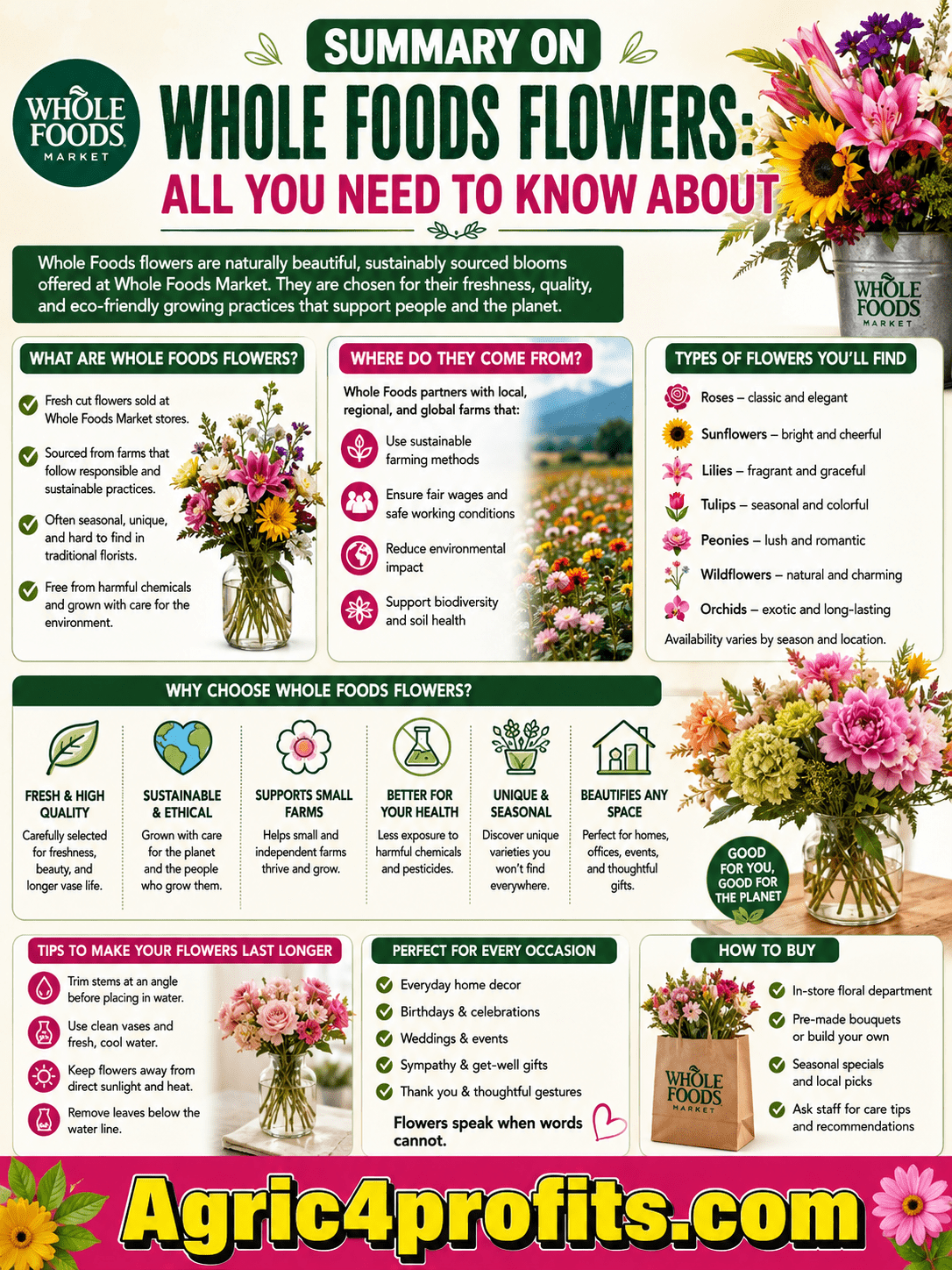 Whole Foods Flowers: All You Need To Know About