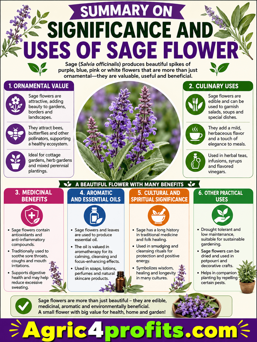 Significance And Uses of Sage Flower
