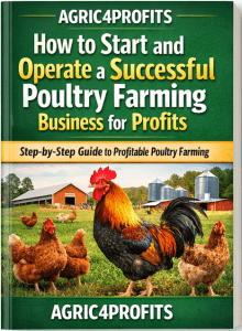 How to Start and Operate a Successful Poultry Farming Business for ...