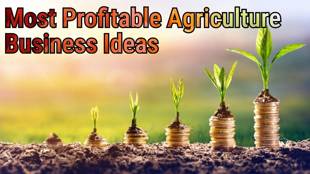 Top 10 High-Income Farming Activities