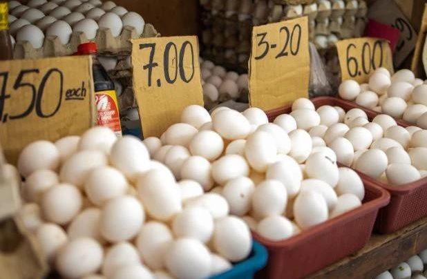 La volaille de Commercialisation des Produits: Guide Complet des Œufs et de la Viande de Vente