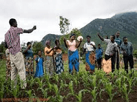 Agric4Profits Online Community