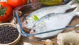 Essentials of Fish Nutrition: Building Healthy Aquaculture Practices