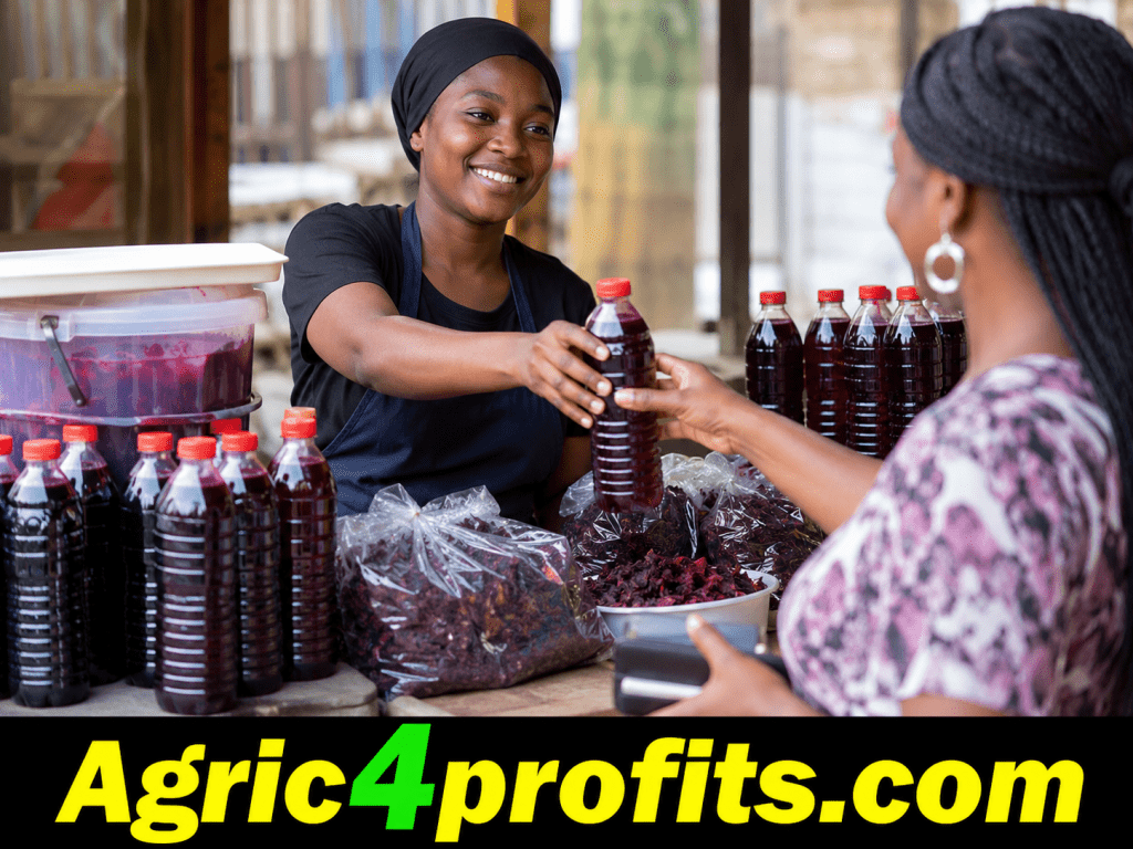 Zobo Drink: Easy Recipe, Benefits, and Business Guide