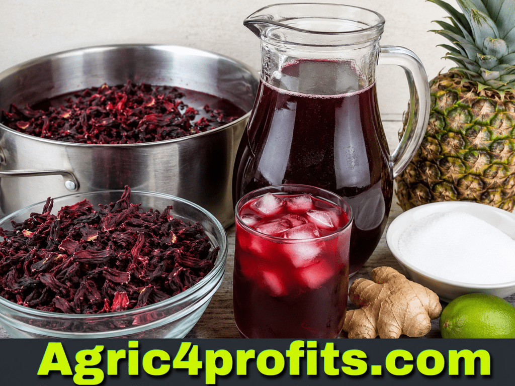 Zobo Drink: Easy Recipe, Benefits, and Business Guide