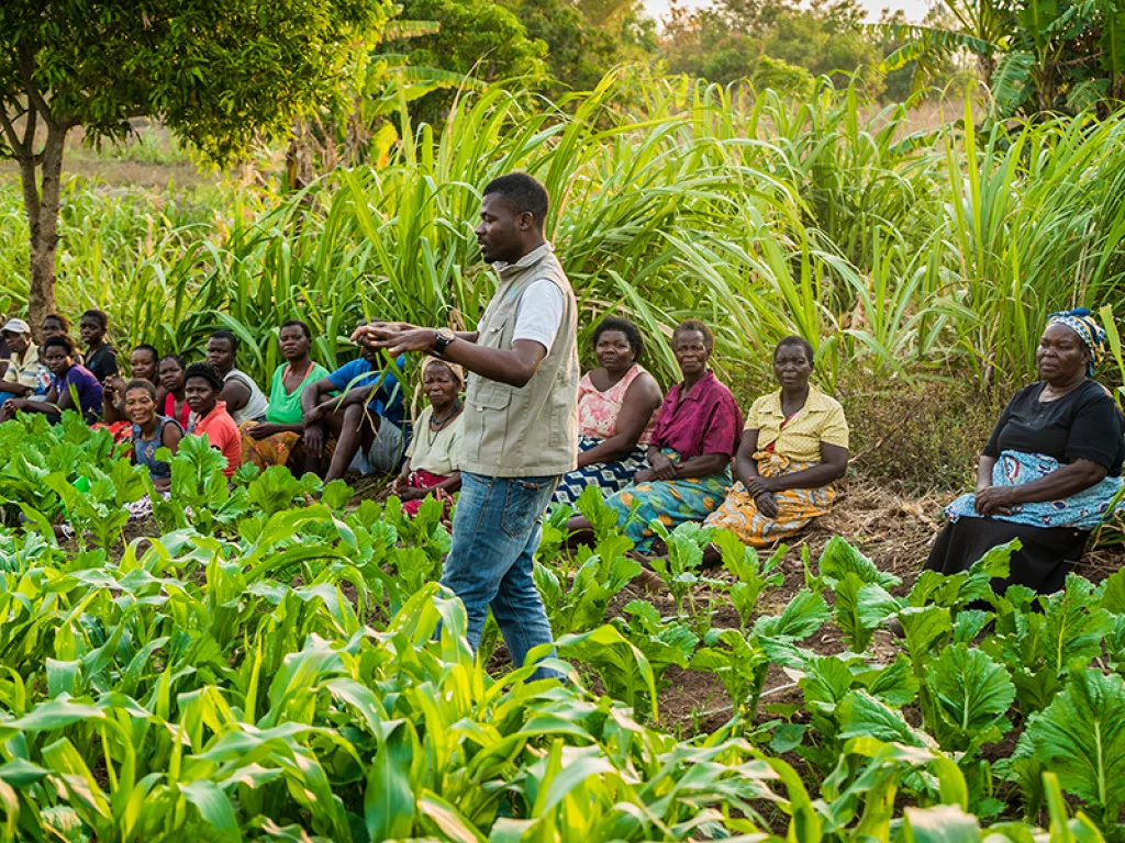 Agricultural Extension Guide for Farmer Education