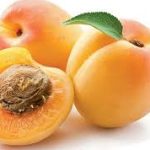 Group logo of Apricot (Prunus armeniaca) Farmers Community