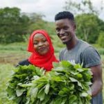 Group logo of African Youths in Agribusiness Community