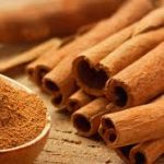 Group logo of Cinnamon (Cinnamomum verum) Farmers Community