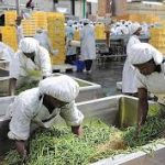 Group logo of Agro-Processing and Value Addition Community